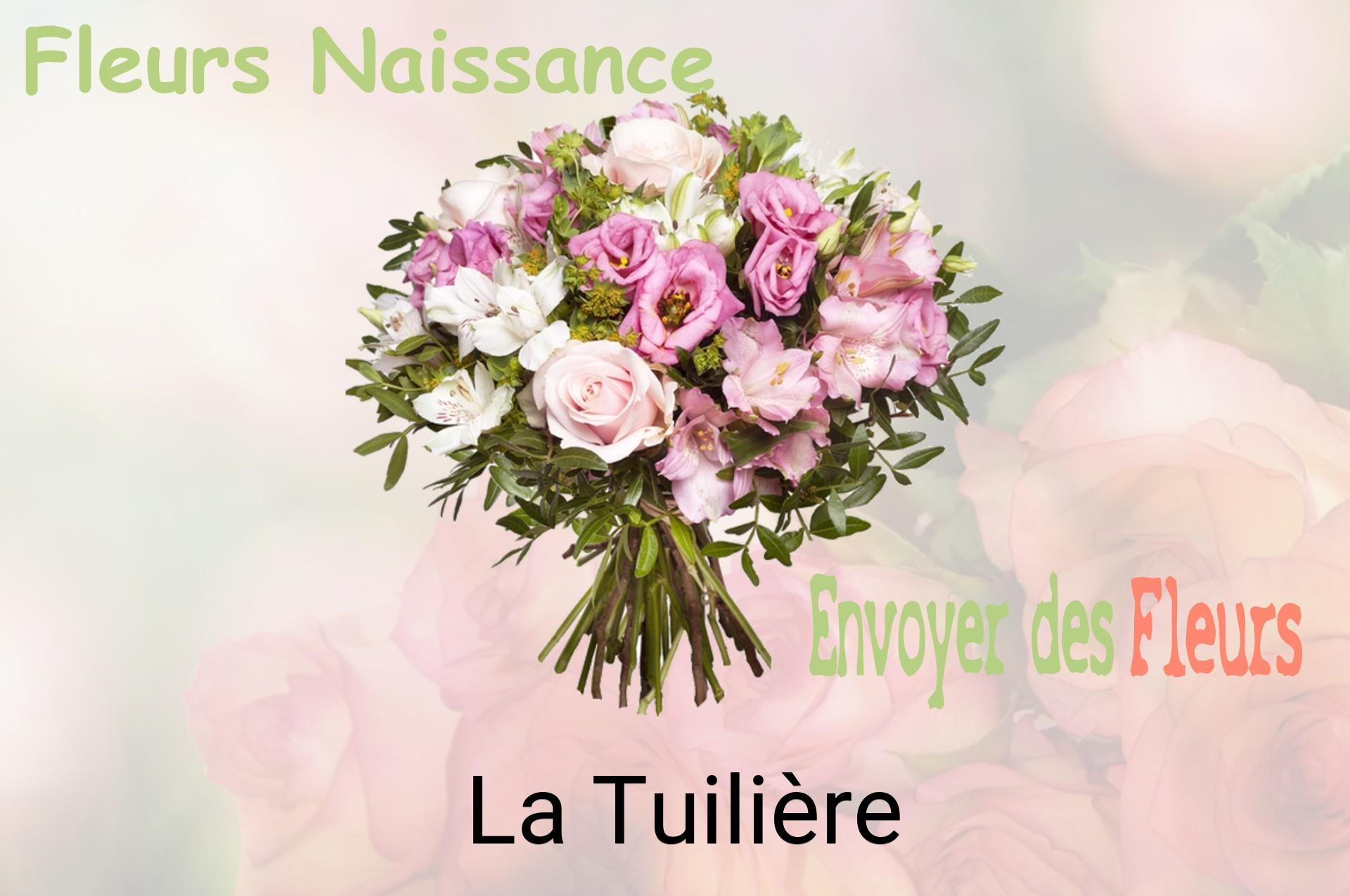 Bouquet de fleurs de naissance livré à La Tuilière